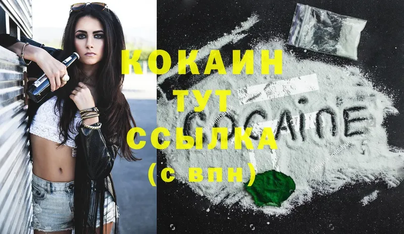 Cocaine Fish Scale  купить закладку  Кандалакша 