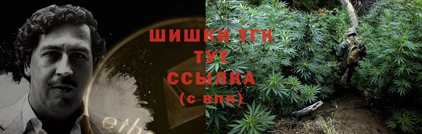 винт Нея