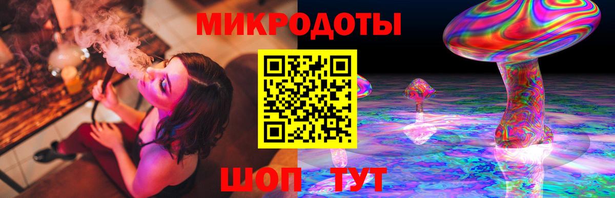 Псилоцибиновые грибы GOLDEN TEACHER  где купить наркотик  Кандалакша  Вход с VPN  Галлюциногенные грибы GOLDEN TEACHER 