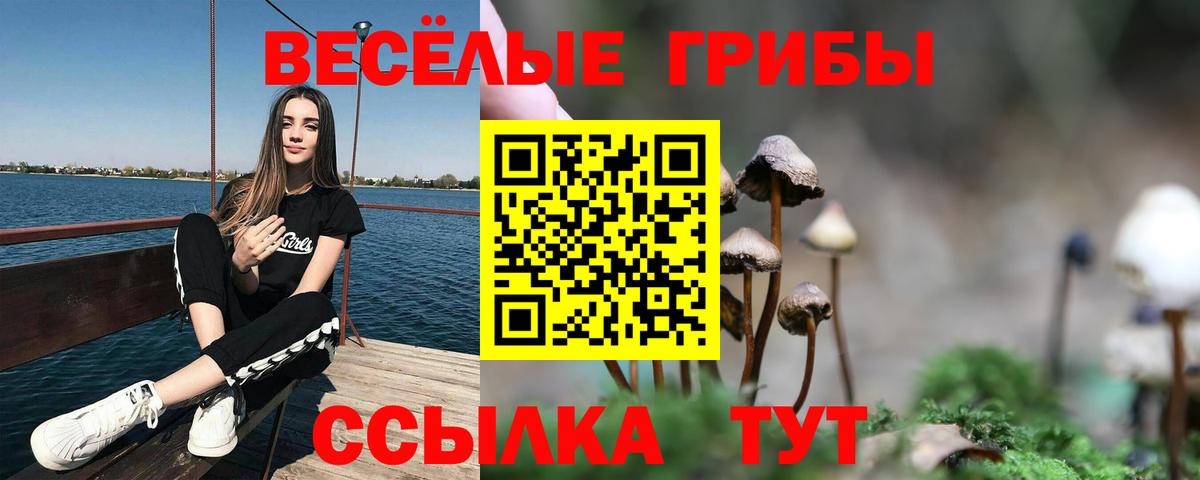 Галлюциногенные грибы MAGIC MUSHROOMS  Кандалакша  Псилоцибиновые грибы Cubensis 